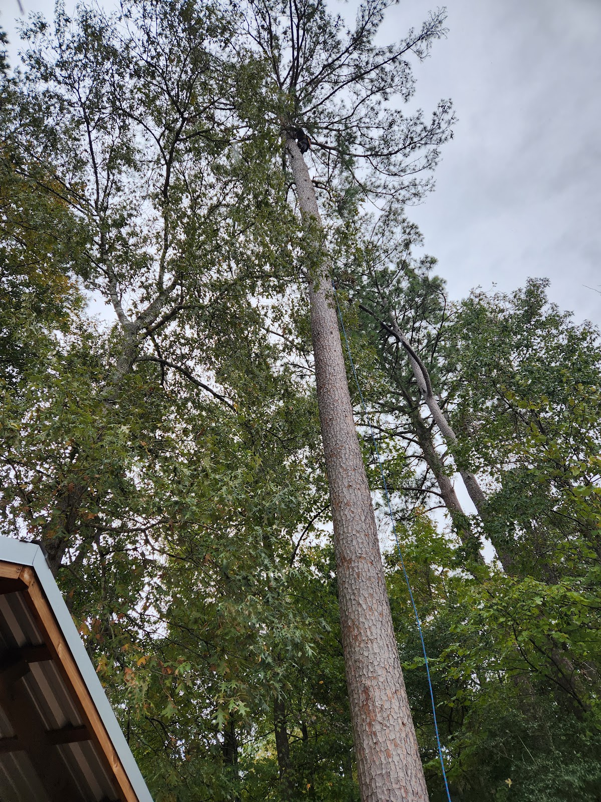 Storm Damage Cleanup